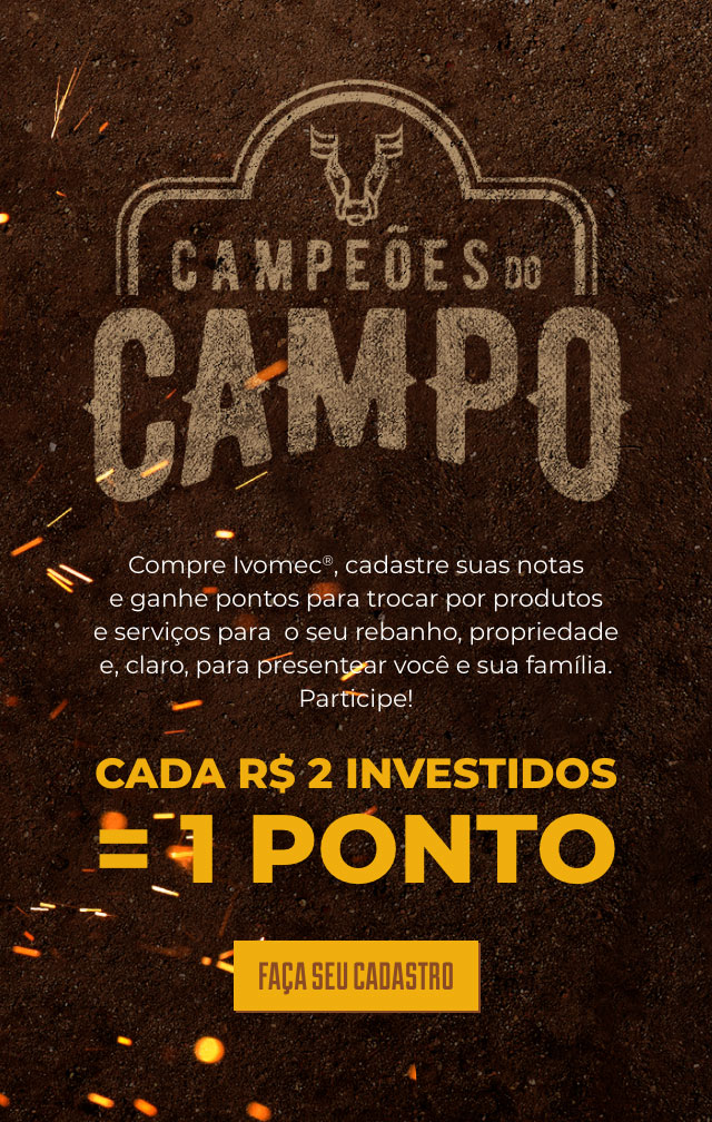 Campeões do Campo